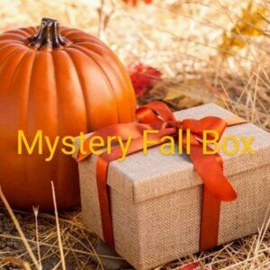 🍁10 items🍁Fall Autumn Cozy Colorful Mystery Box ❤️Please READ DESCRIPTION!